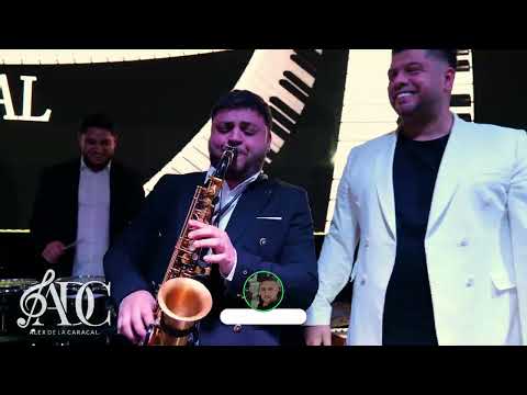 Alex de la Caracal - Nu mai vreau sa te las lenta live 2026 Cover Denis Spaniolu