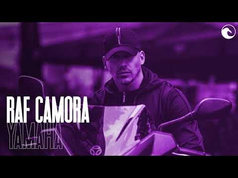 🍇 Raf Camora x Azet x Dardan SOMMER Afrobeat Type beat 2024 | YAMAHA