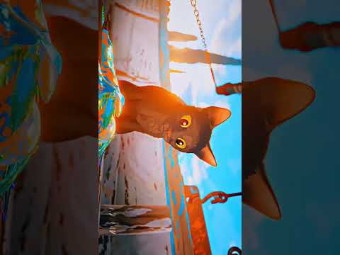 Beauty of the flow Movie 🎬 |  CINEMATIC short video | #trading #flowmovie