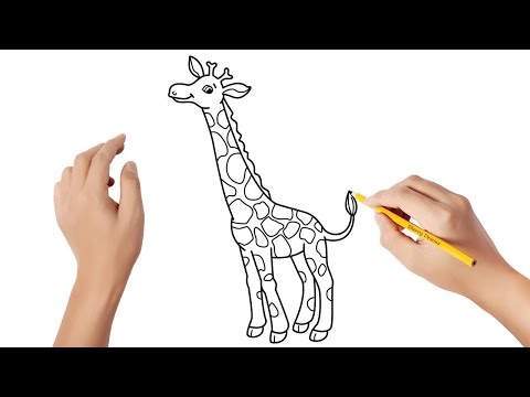 Comment dessiner une girafe