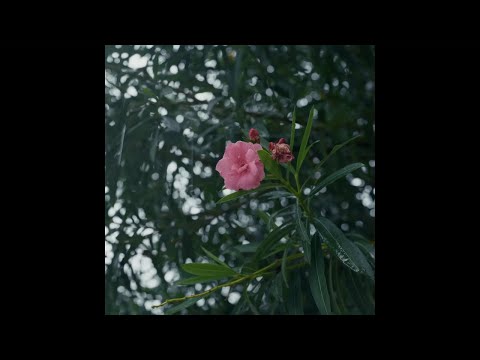 [FREE] d4vd Type Beat / Indie x Dream Pop Type Beat - "over and over"