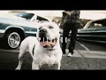 SADBOY LOKO - ft. LISTO - PIT LOCK (OFFICIAL VIDEO)