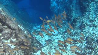 preview picture of video 'Under Hinatuan Enchanted River - Schadow1 Expeditions'