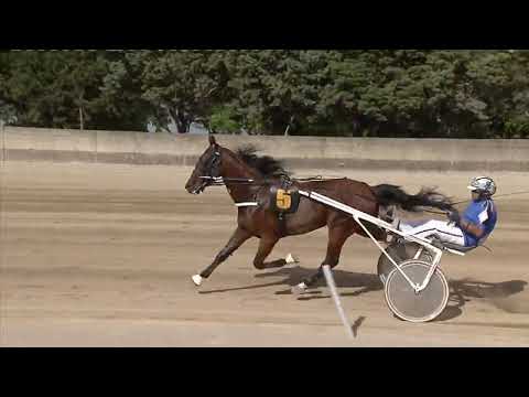 Ippodromo dei Sauri - 7° corsa del 29.5.2022