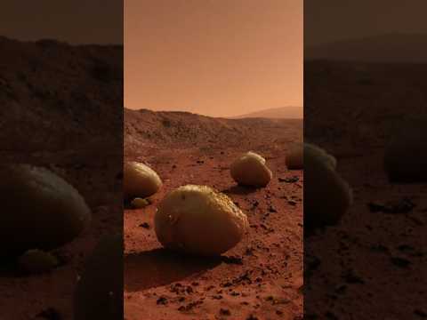 Картофель на Марсе — миф или реальность?