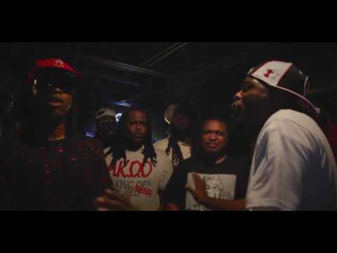 Rod vs Barburing Diggy