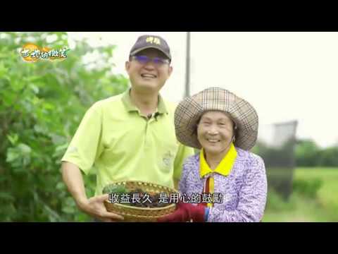 《土地的微笑》EP4 - 農產打樣 封存用心