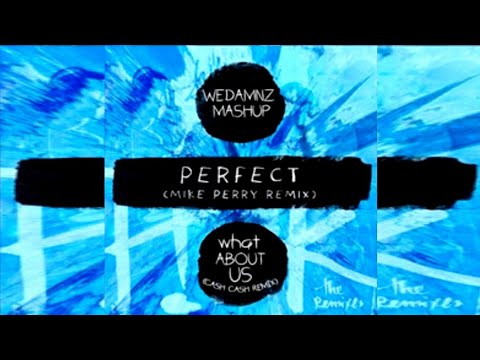 Ed Sheeran vs Pink Cash Cash - Perfect vs What About Us (WeDamnz Mashup)