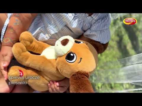 Rafi Dumel Discovery's Long-Eared Dog