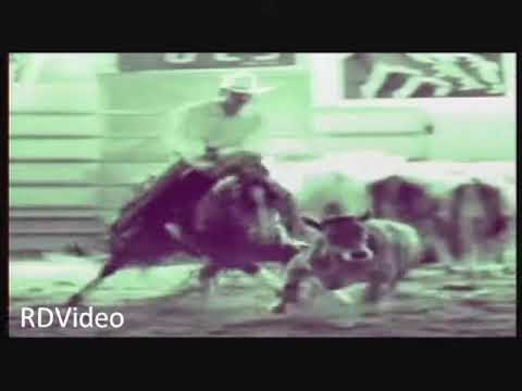 RDVideo - COEUR D LENAS BAR - Quarter Horse stallion - video promozionale/promotional video