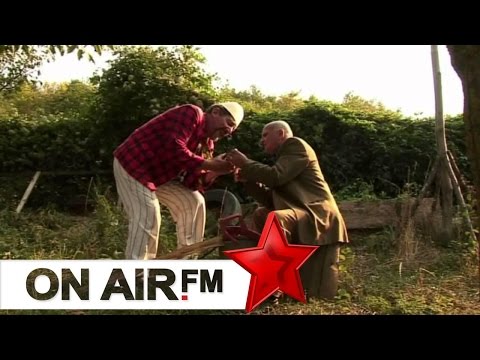 Cima, Lulja, Fiza- Glacat e nuses