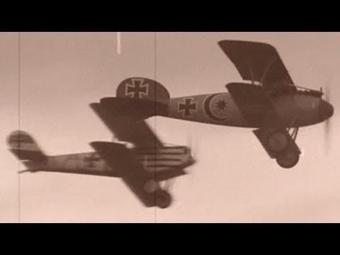 Albatros D.Va and Pfalz D.III