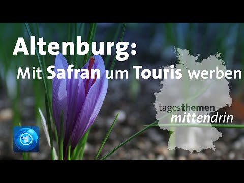 Altenburg: Wie vermarktet sich eine Region? | tagesthemen mittendrin