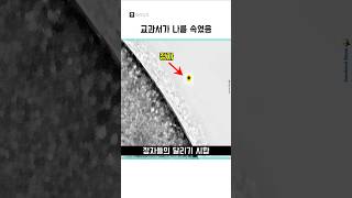 선택받은 오징어들