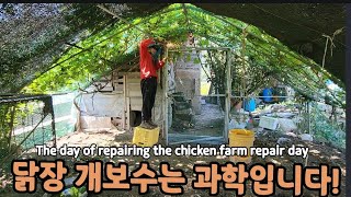 닭장은 가구가 아니라, 과학입니다. The day of repairing the chicken farm re…