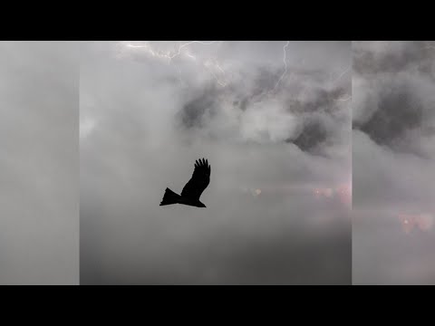 RLC - Dark (Official Lyric Video)