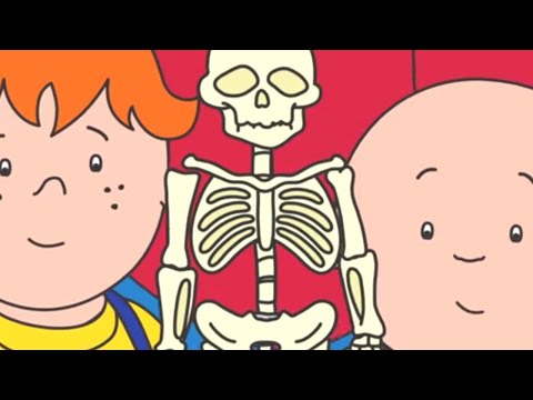 Caillou 520 - Borrowed Book/Fixing Mr. Bones/Cailloudles