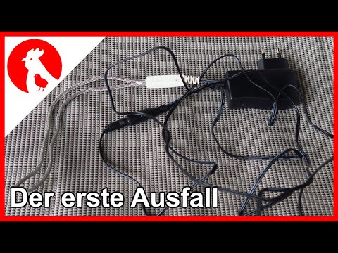 022 Tränkenwärmer-Test, der erste Ausfall 👎🥺 - Jensman and the Huhns🐔