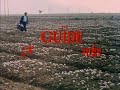 Guide 1965 Full Movie With English Subtitles Dev Anand Waheeda Rehman