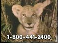 National Geographic Swing Safari VHS Ad 1995