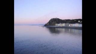 Pavement - Starlings of the Slipstream