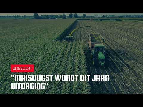 Uitgelicht | 'Maisoogst wordt dit jaar uitdaging'