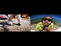 Baha Men Who Let The Dogs Out Original Vs Rugrats In Paris