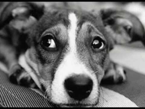 Sanjuro - OTAN DEN EISAI EDO