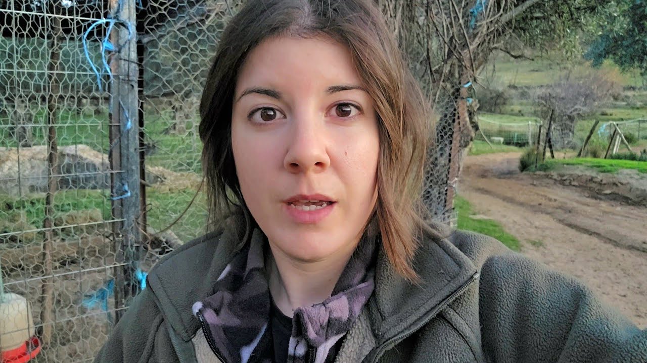 Esto no se puede tener en una majada, los mastines casi me la lían