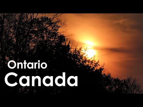 Canada Ontario - Spring Beauty - 4K
