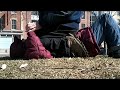 Sitting Fun With My Friend In The Park