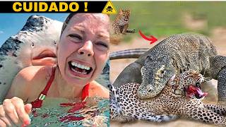 10 Animais Assassinos Que Você Nunca Queria Encontrar ! Você Nunca Vai Acreditar no Nível de Perigo!