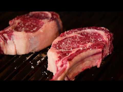 download lagu mp3 mp4 Butchers Lab, download lagu Butchers Lab gratis, unduh video klip Butchers Lab