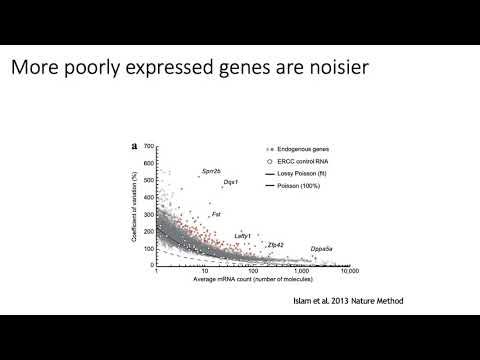 MCB 182 Lecture 9.11 - More on scRNA-seq dropout noise