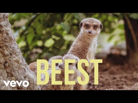 Fleddy Melculy - Beest