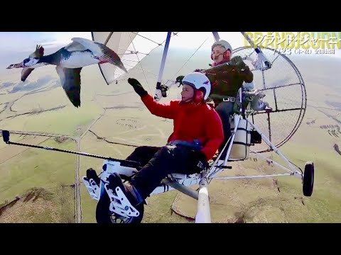 本作のモデルとなった夫妻の渡り鳥と空から見る世界遺産／映画『グランド・ジャーニー』特別映像