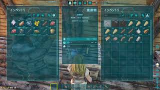 [ARK]本日もARK始めるよー in Island