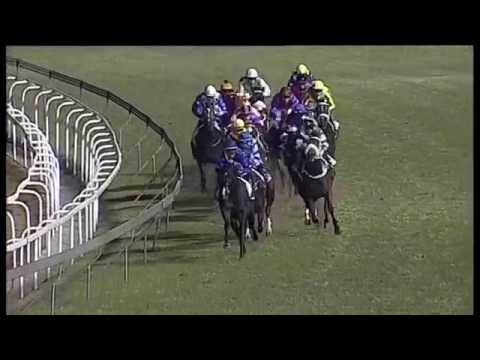 2017.07.01 KZN Yearling Sale Million (RSA) - Al Mariachi