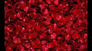 Dil me ho tum (Lyrics) | Awesome Song - YouTube