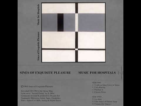 Sines of Exquisite Pleasure - Music for Hospitals (Cassette, 1984)