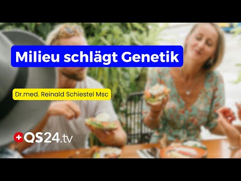 Epigenetik: Warum Sie Ihren Genen nicht ausgeliefert sind | Dr. med. Reinald Schiestel | QS24
