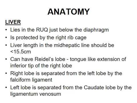 Abdominal Ultrasound   Narrated Video