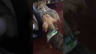 Cooper meets Michael