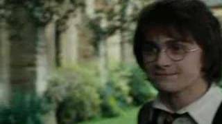 Faithful Lover Harry/Draco Slash