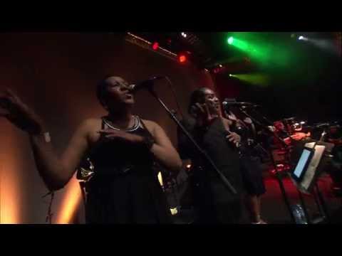 Renya - Fofo (Live) feat. Simon Fache Big Backing Band