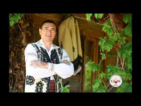 Nelu Bitina - De pe malul jiului