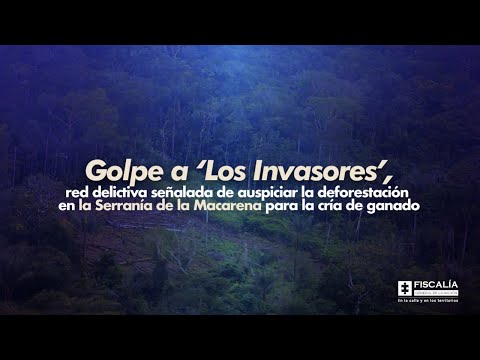 Fiscal Francisco Barbosa: Golpe a ‘Los Invasores’, red delictiva señalada de auspiciar deforestación