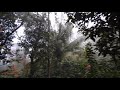 Amazing Coorg A Foggy Day