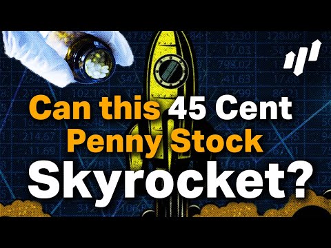 Can This 45 Cent Penny Stock Skyrocket??? 🚀🚀🚀