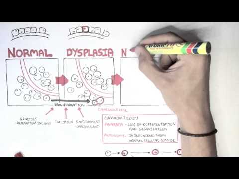 Cancer Introduction I